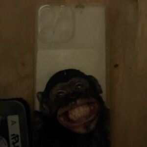 Monkey Design iPhone 13 Pro Max Case